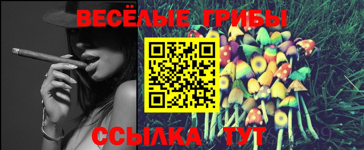 Псилоцибиновые грибы мухоморы Аргун
