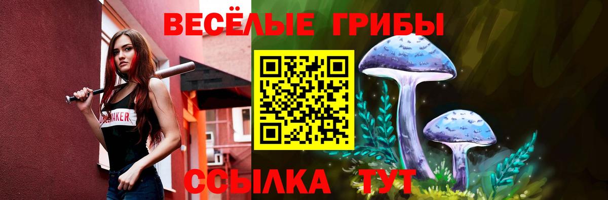 Псилоцибиновые грибы прущие грибы  Вход с VPN  Аргун 